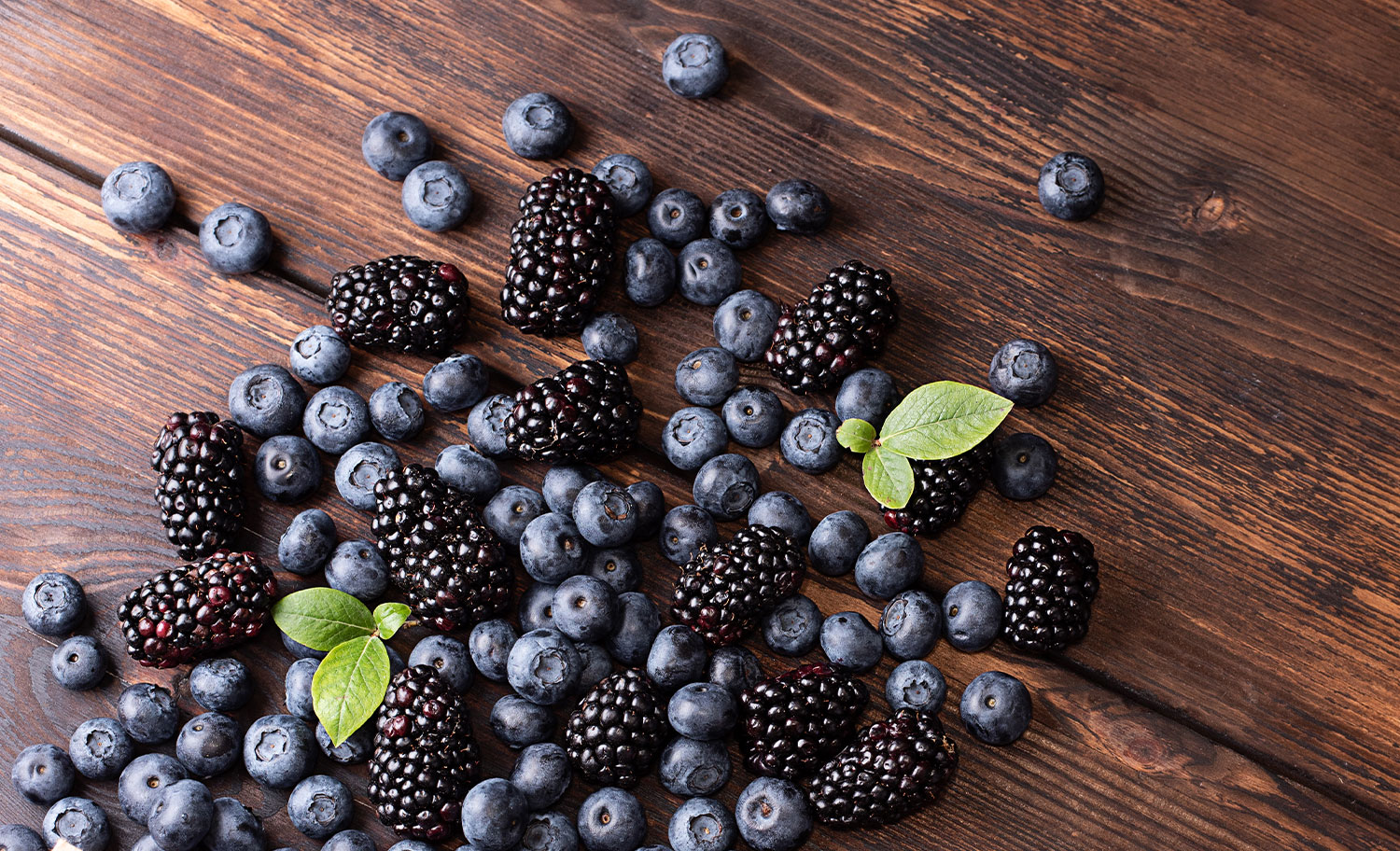 Berry Püresi İşleme Üretim Hattı